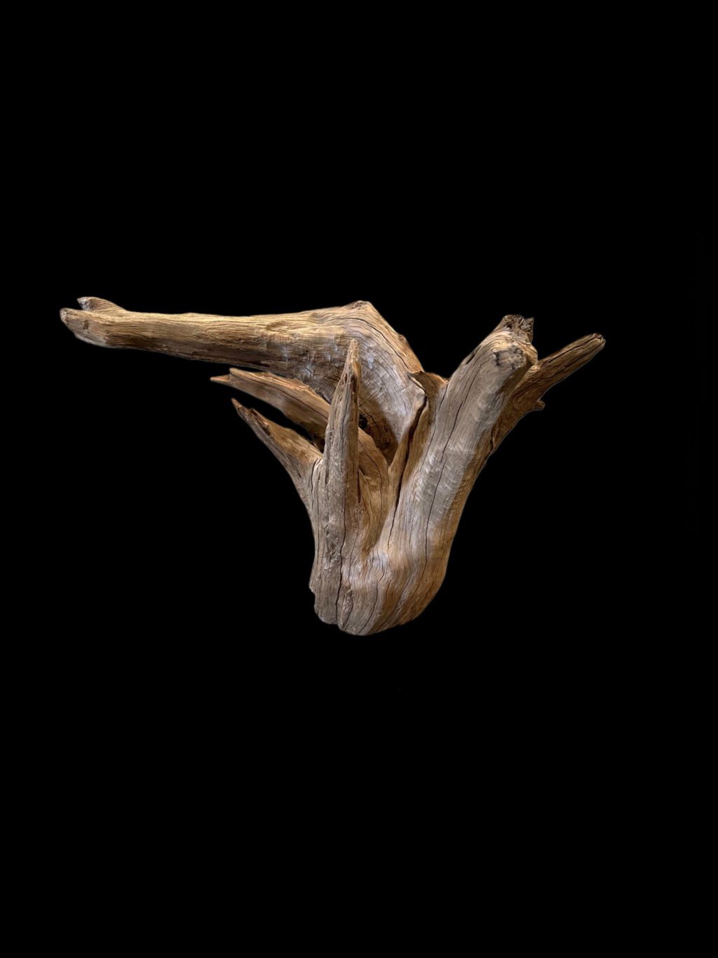 log table base