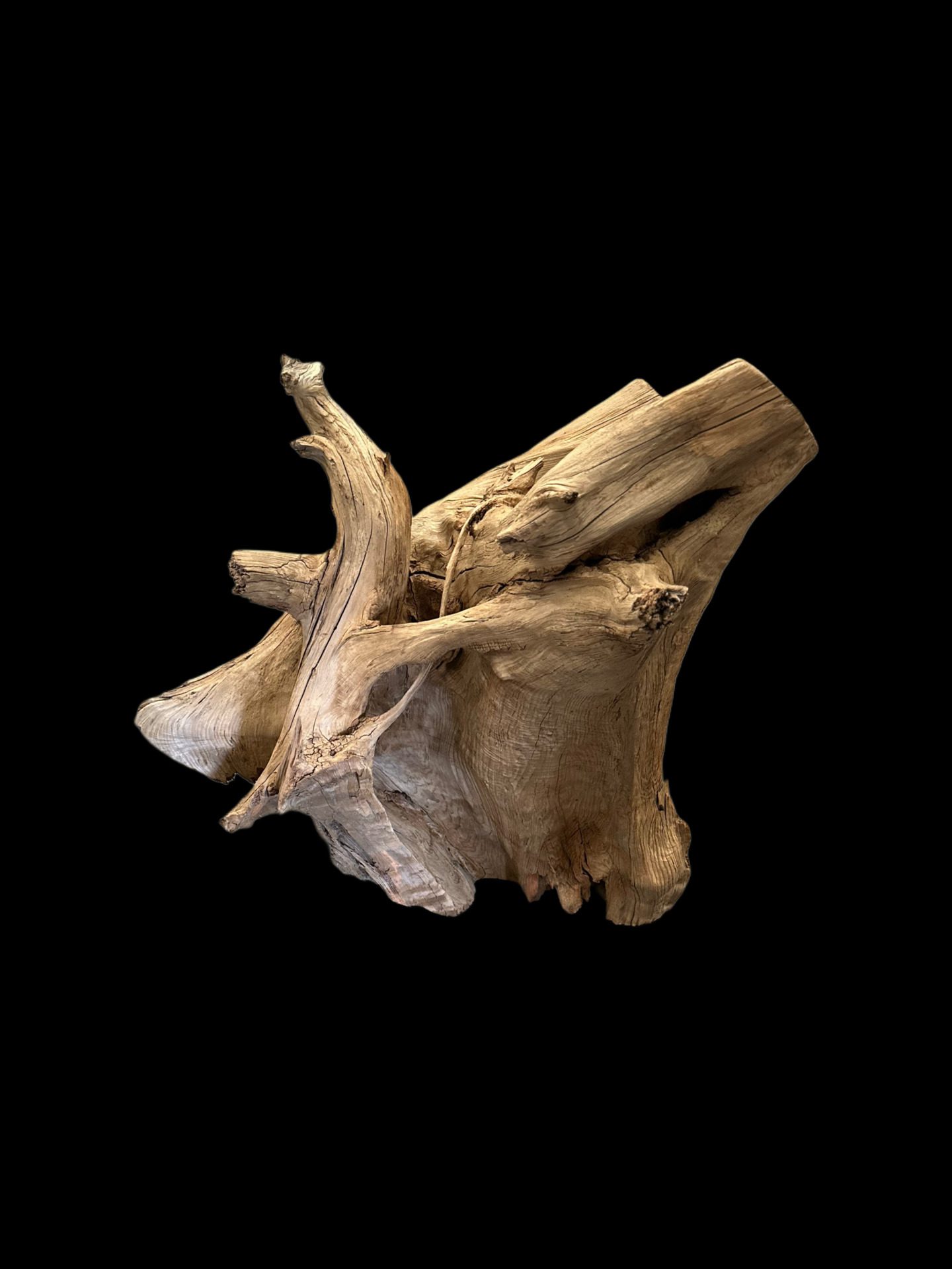 log table base