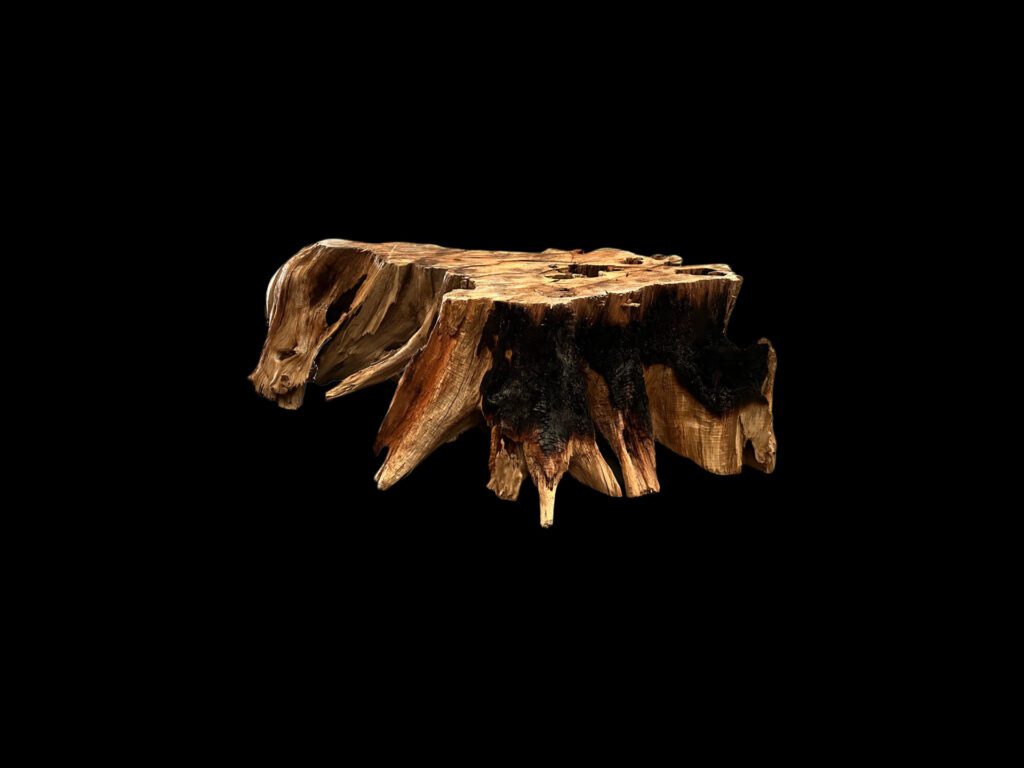log table base