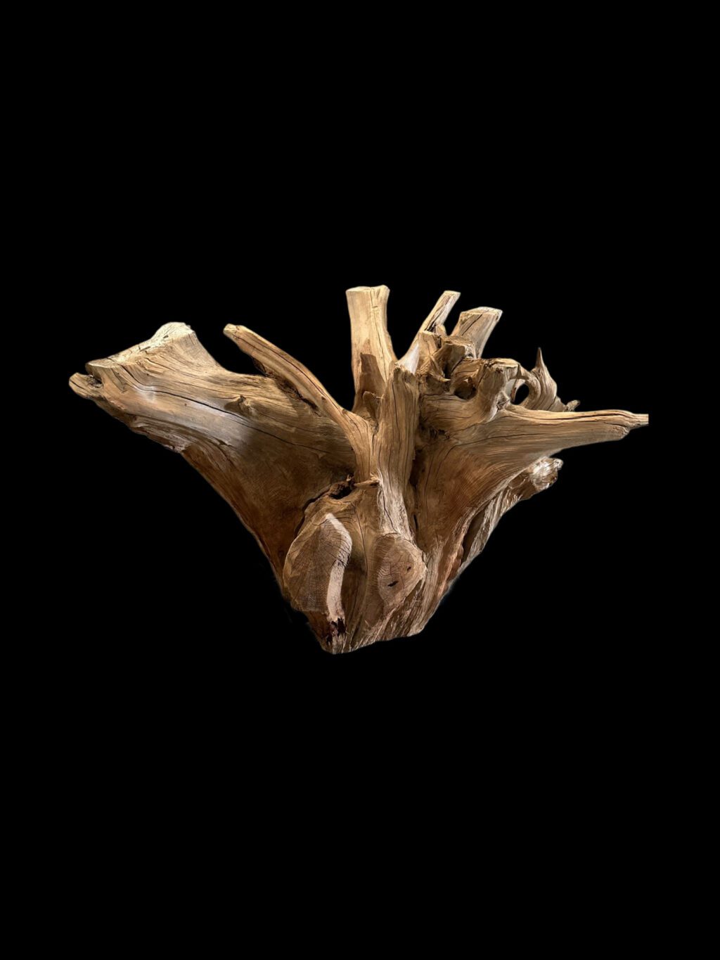 log table base