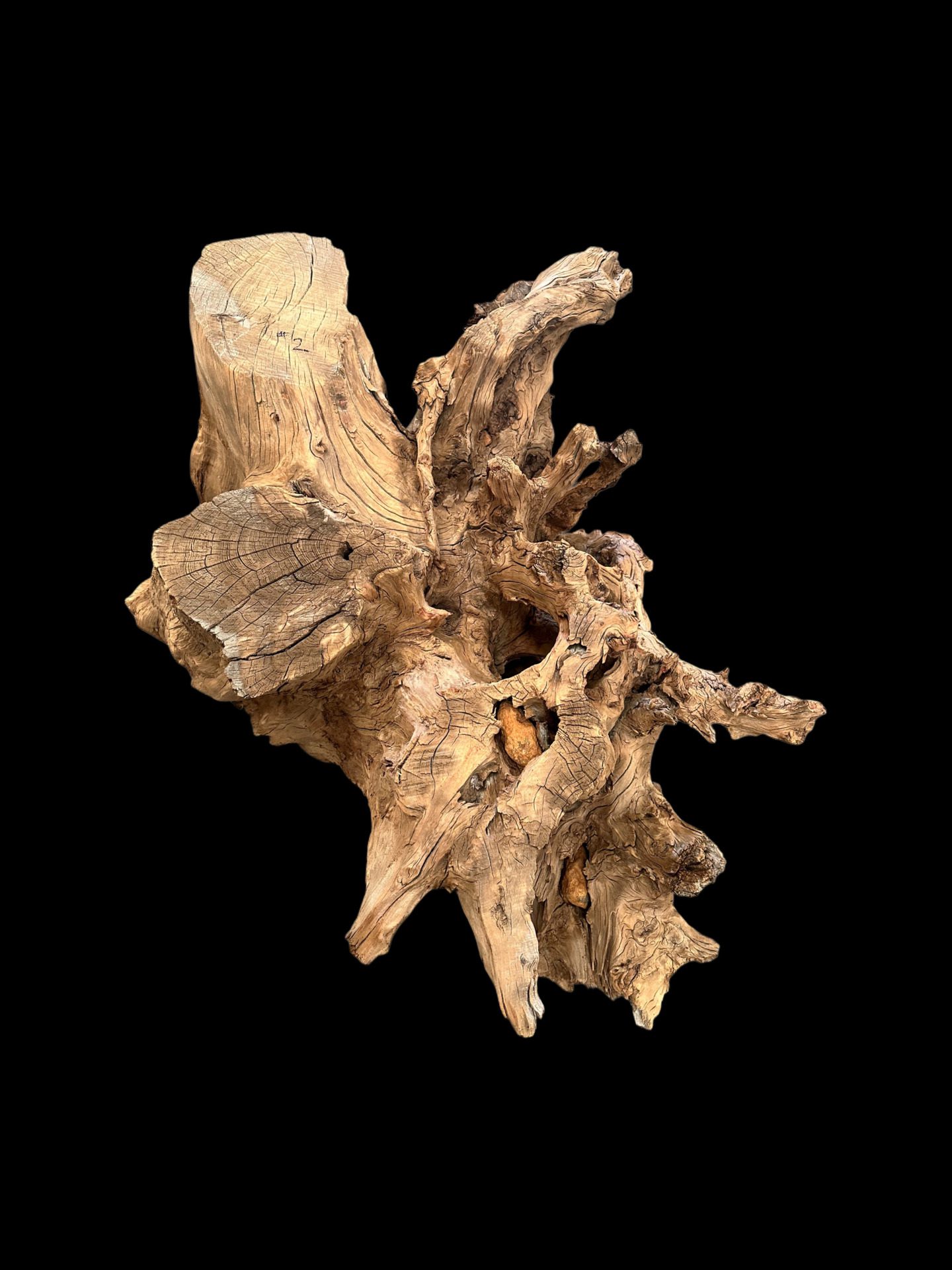 Log table base