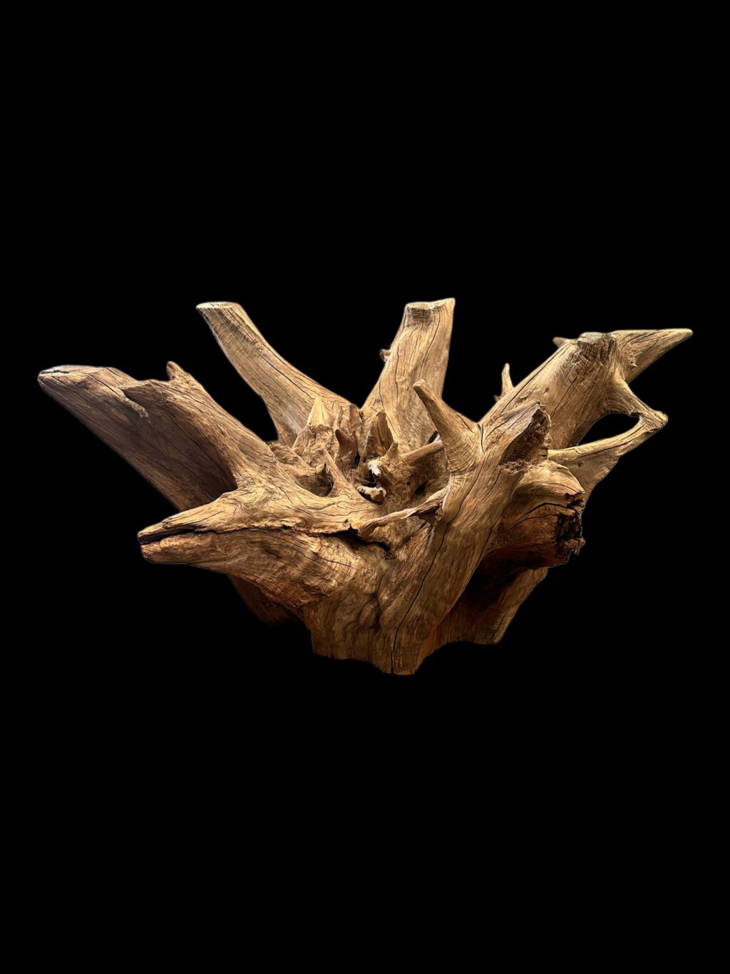 log table base