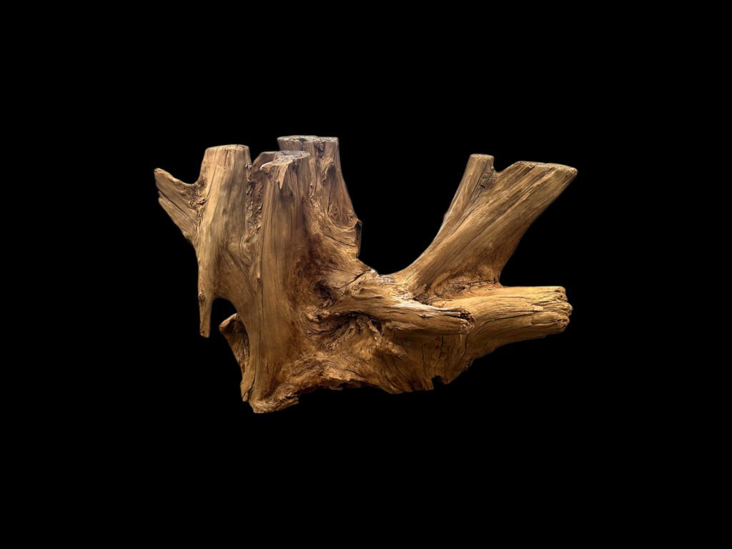 log table base