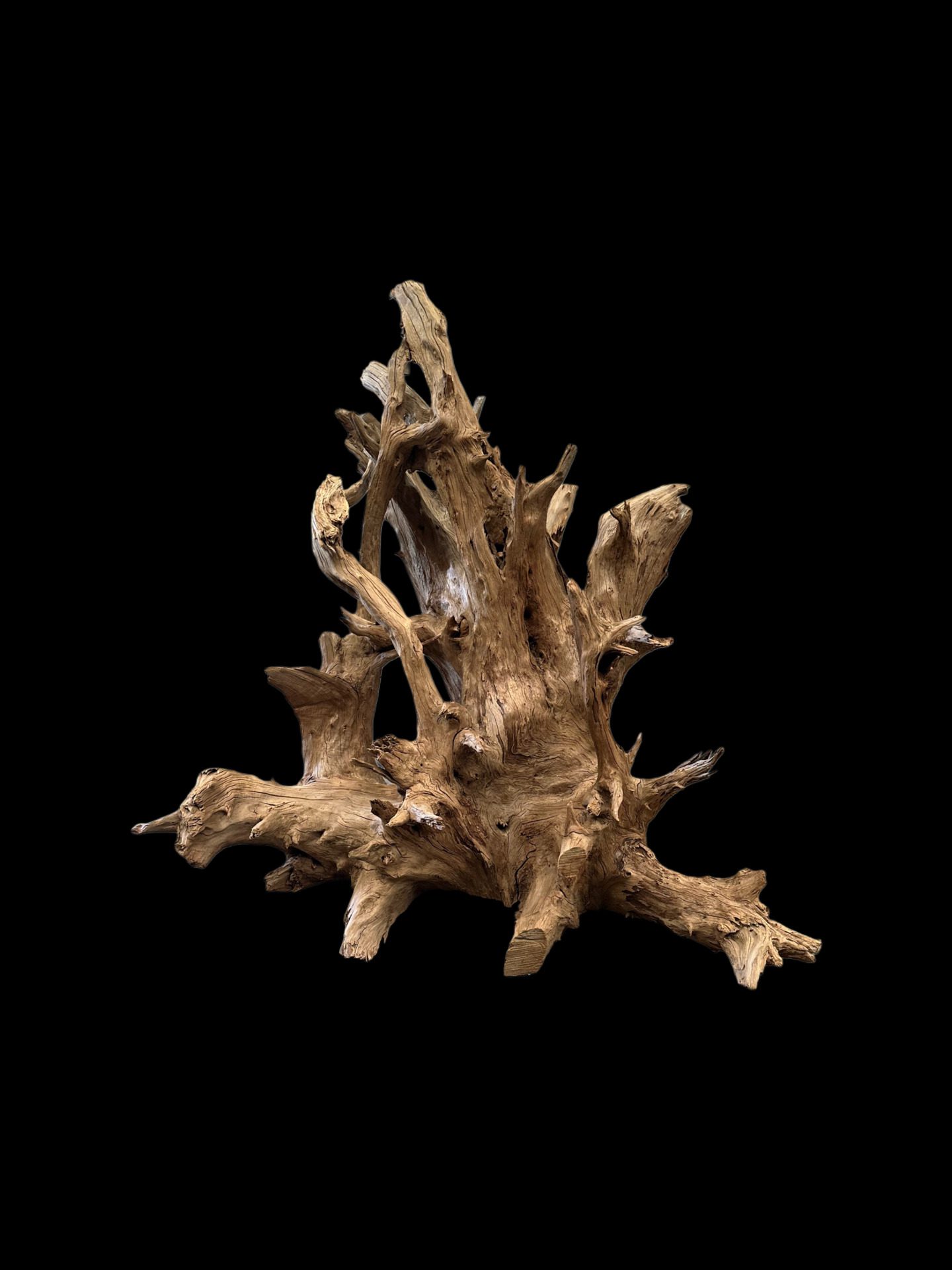 log table base