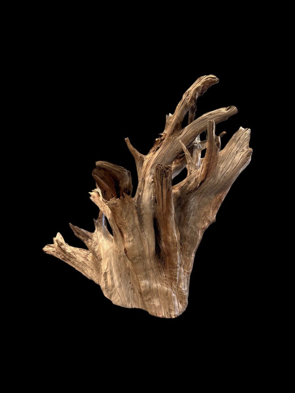 log table base