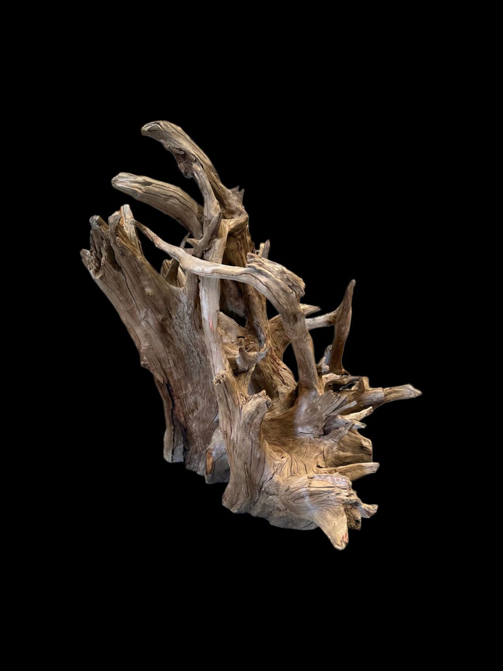 log table base