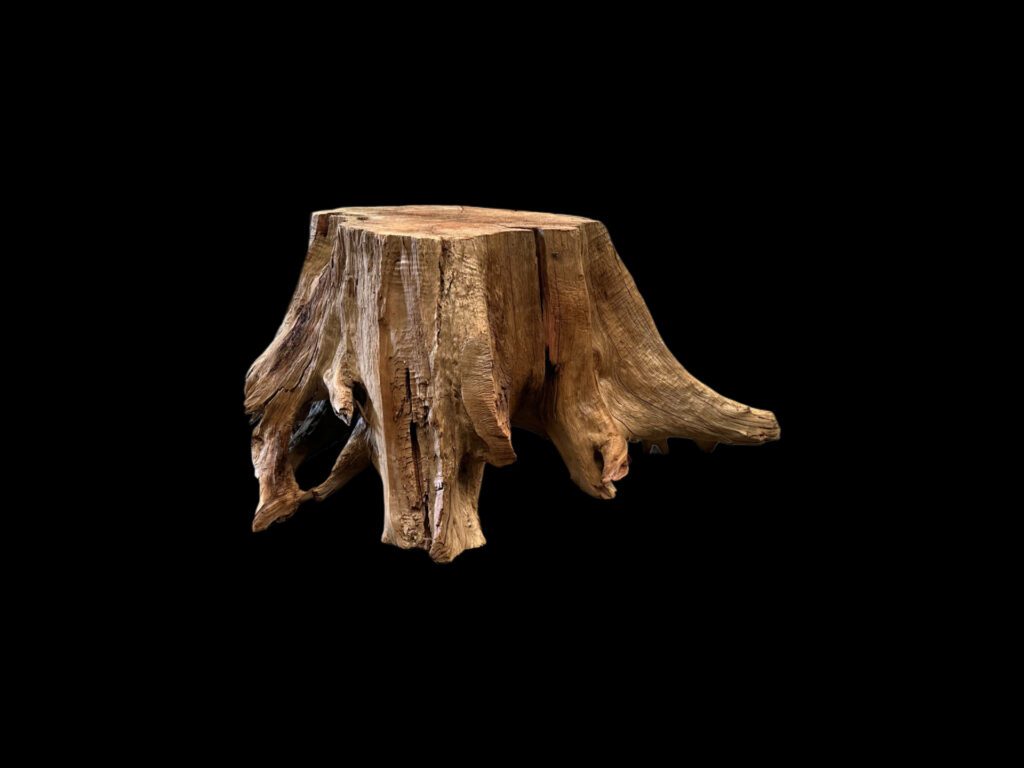 log table base