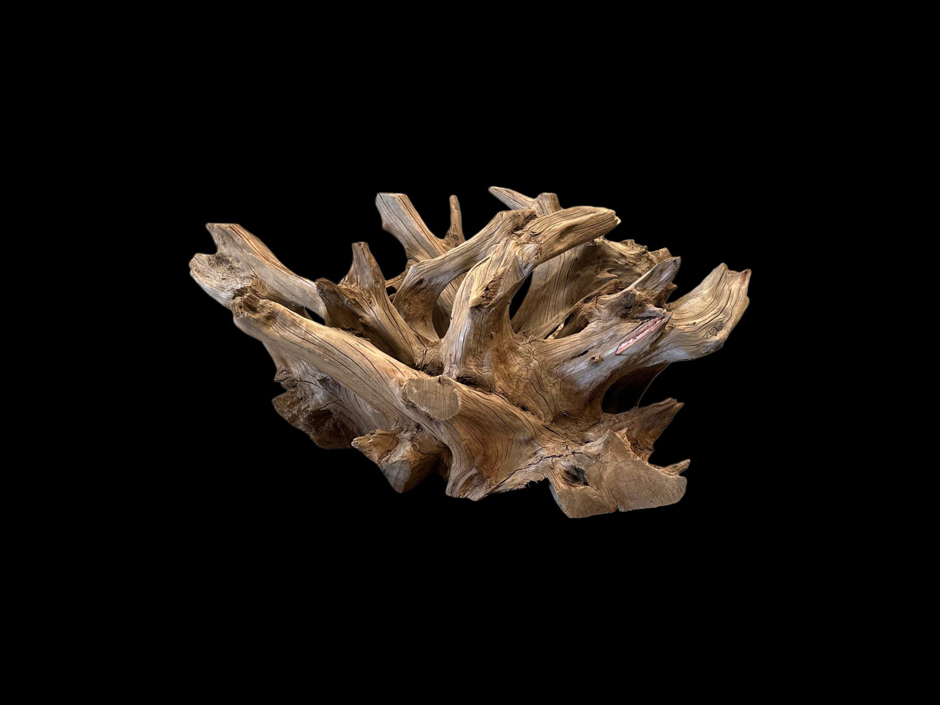 log table base
