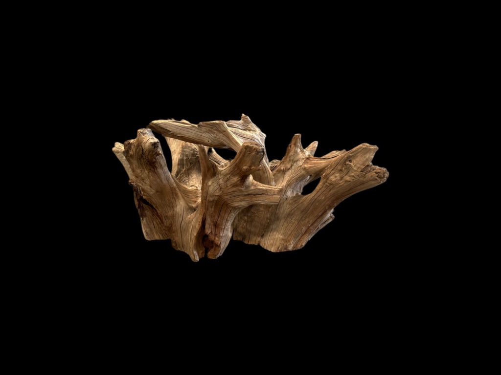 log table base
